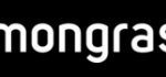 LEMONGRASS CONSULTING LIMITED